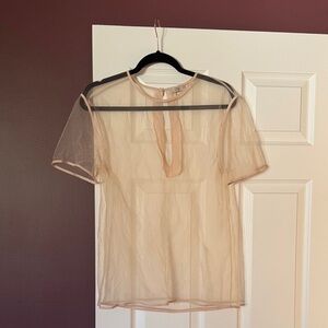 Sheer Blush Aritzia Top
